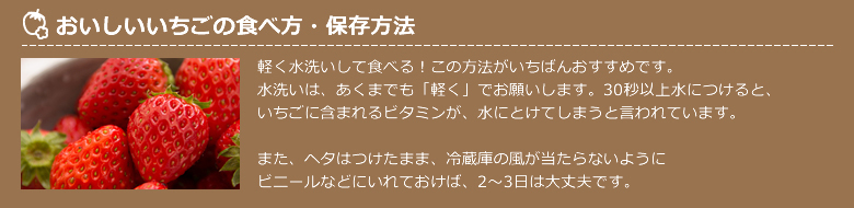 おいしいいちごの食べ方・保存方法
