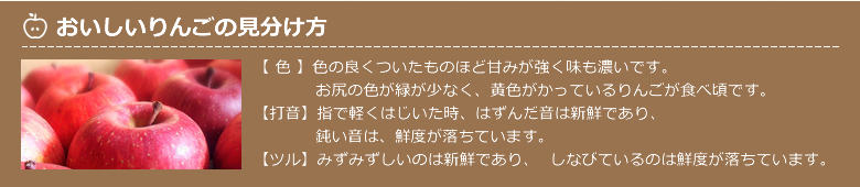 おいしいりんごの見分け方