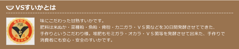 VSすいかとは